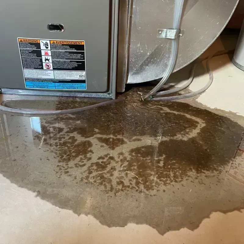 Appliance Leak Cleanup in Custer County, SD